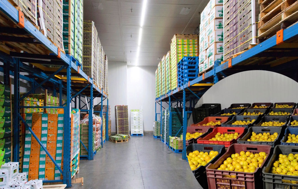 Kho lạnh bảo quản nông sản - Kho Lạnh Công Nghiệp Đông Anh - Công Ty Cổ Phần Cơ Điện Lạnh Đông Anh